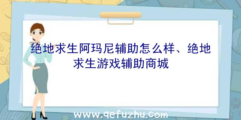 绝地求生阿玛尼辅助怎么样、绝地求生游戏辅助商城