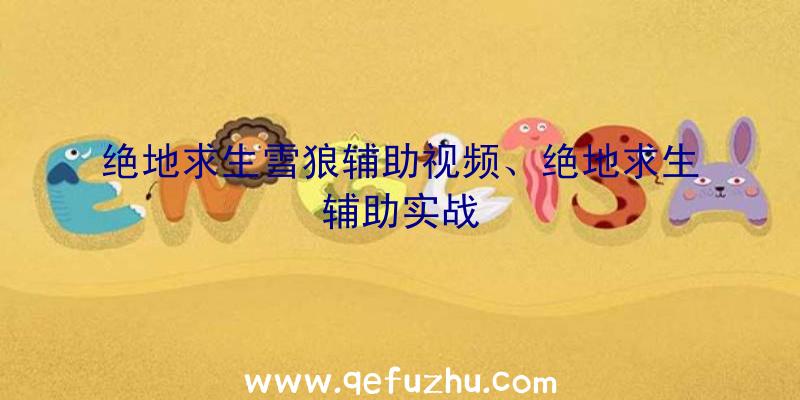 绝地求生雪狼辅助视频、绝地求生辅助实战
