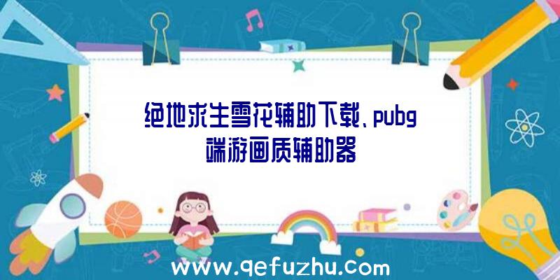 绝地求生雪花辅助下载、pubg端游画质辅助器