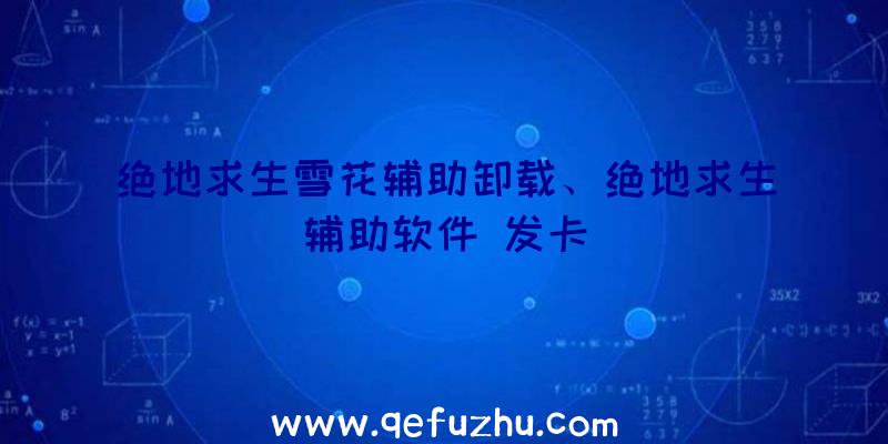 绝地求生雪花辅助卸载、绝地求生辅助软件