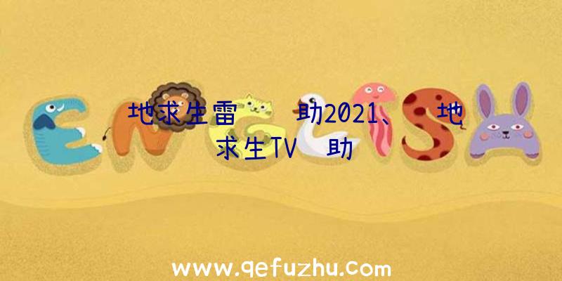 绝地求生雷达辅助2021、绝地求生TV辅助