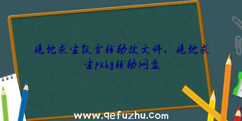 绝地求生飘雪辅助改文件、绝地求生pubg辅助网盘