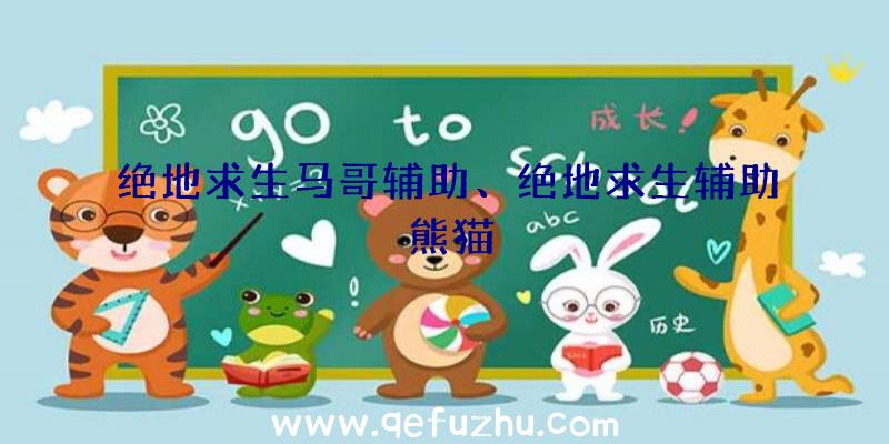 绝地求生马哥辅助、绝地求生辅助