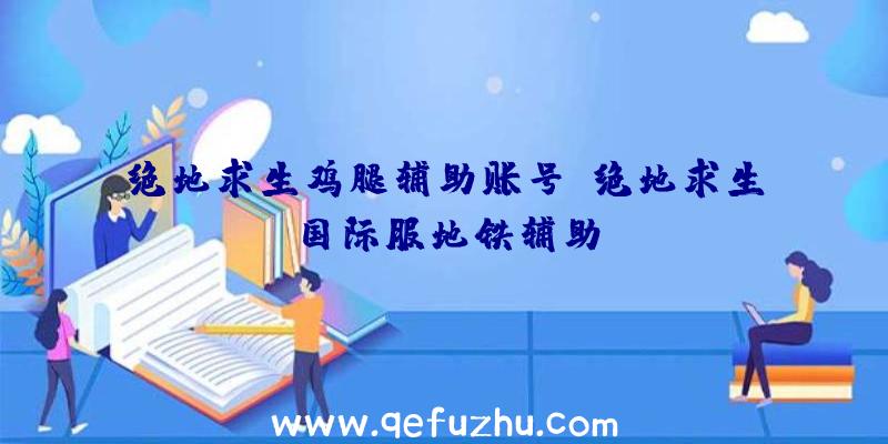绝地求生鸡腿辅助账号、绝地求生国际服地铁辅助