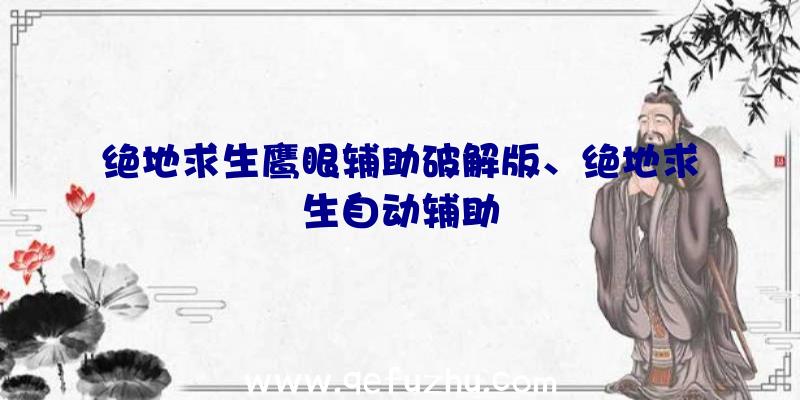 绝地求生鹰眼辅助破解版、绝地求生自动辅助
