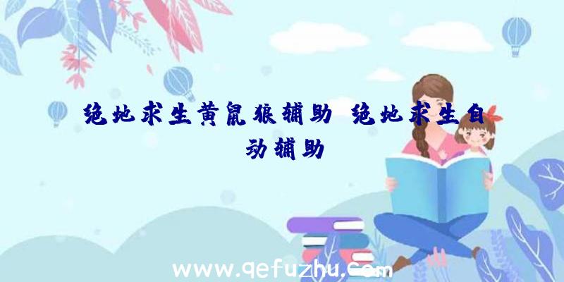 绝地求生黄鼠狼辅助、绝地求生自动辅助