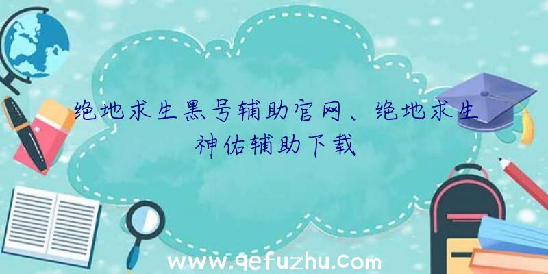 绝地求生黑号辅助官网、绝地求生神佑辅助下载