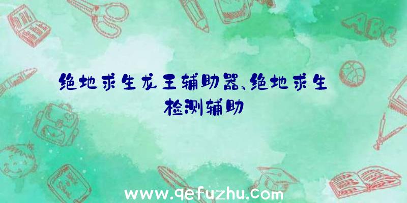 绝地求生龙王辅助器、绝地求生