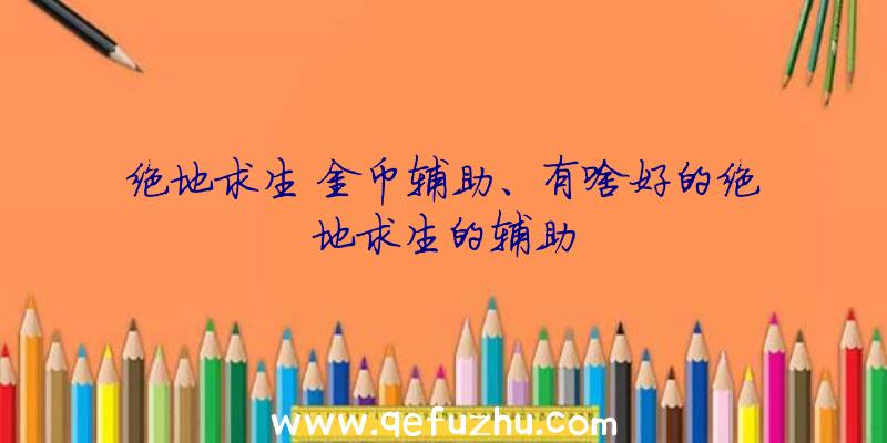 绝地求生+金币辅助、有啥好的绝地求生的辅助
