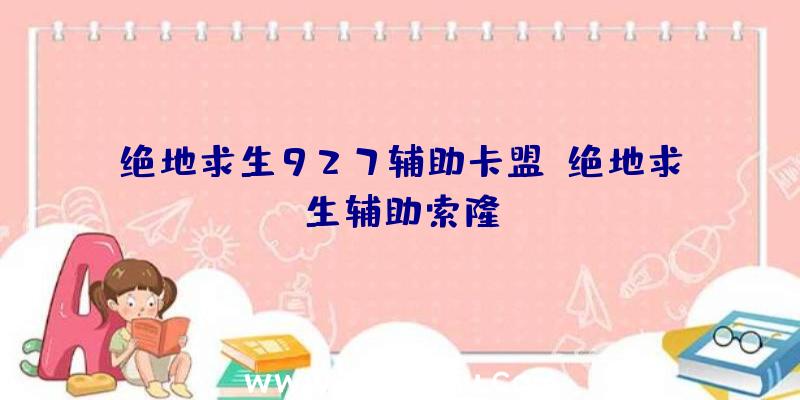绝地求生927辅助卡盟、绝地求生辅助索隆