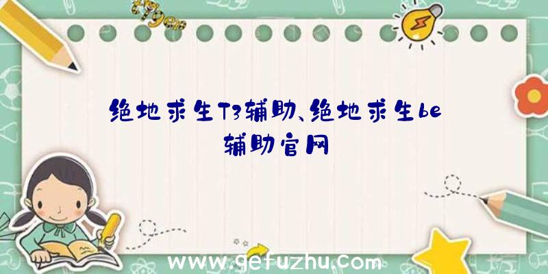 绝地求生T3辅助、绝地求生be辅助官网