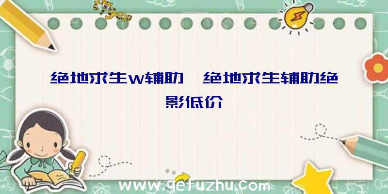 绝地求生W辅助、绝地求生辅助绝影低价