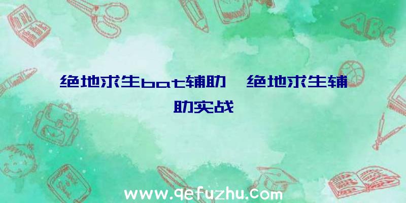 绝地求生bat辅助、绝地求生辅助实战