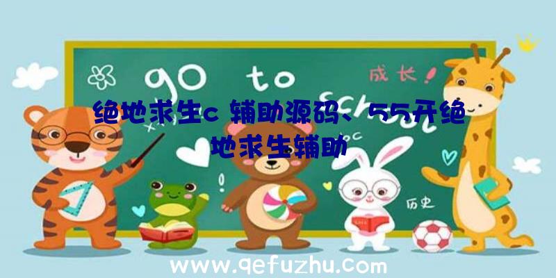 绝地求生c