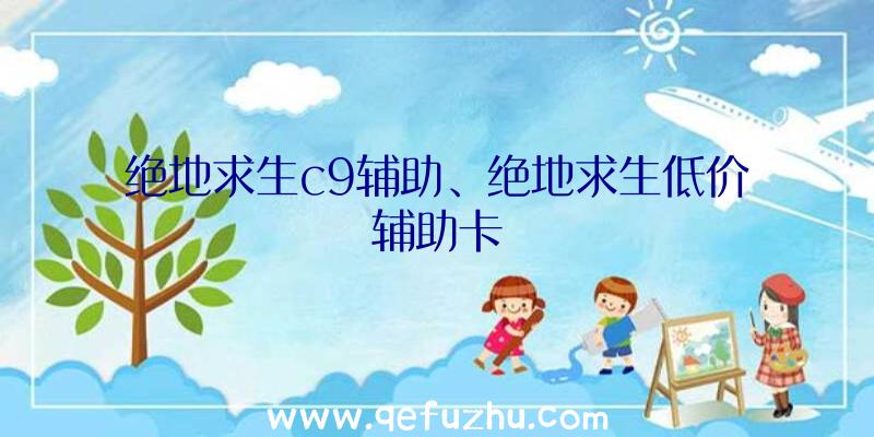 绝地求生c9辅助、绝地求生低价辅助卡