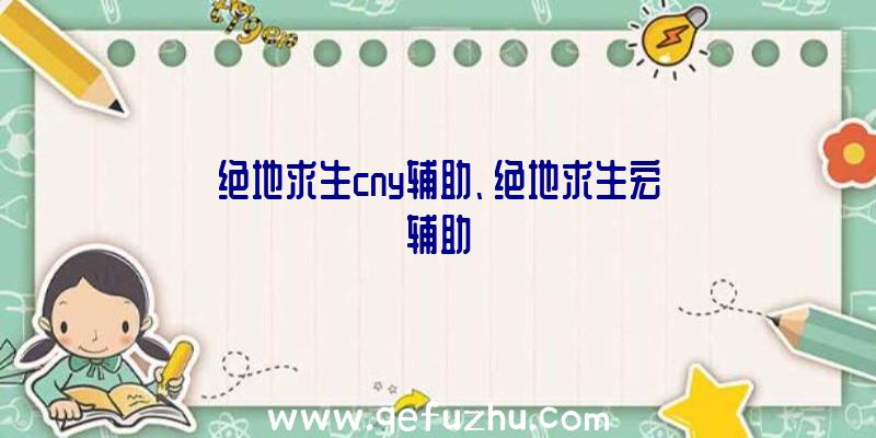绝地求生cny辅助、绝地求生宏辅助