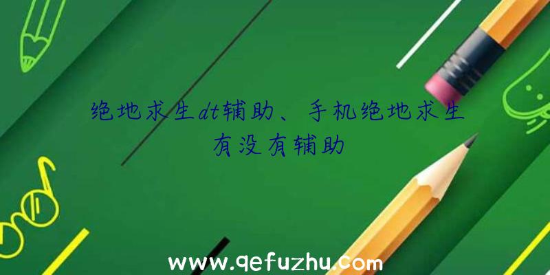 绝地求生dt辅助、手机绝地求生有没有辅助