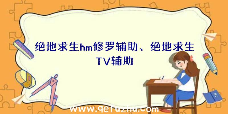 绝地求生hm修罗辅助、绝地求生TV辅助