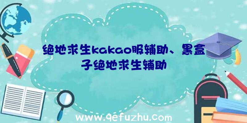 绝地求生kakao服辅助、黑盒子绝地求生辅助
