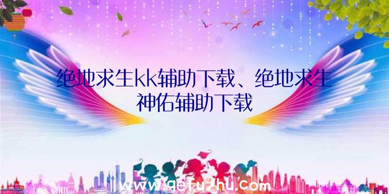 绝地求生kk辅助下载、绝地求生神佑辅助下载