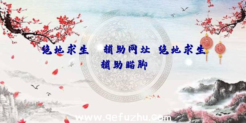 绝地求生kk辅助网址、绝地求生辅助瞄脚