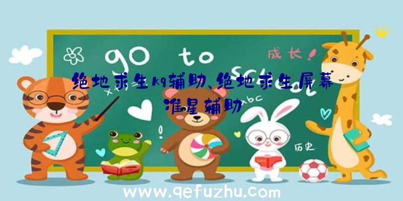 绝地求生kq辅助、绝地求生屏幕准星辅助