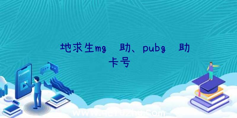 绝地求生mg辅助、pubg辅助卡号
