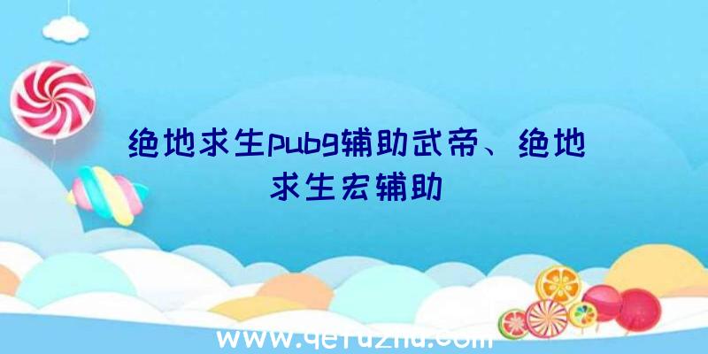 绝地求生pubg辅助武帝、绝地求生宏辅助