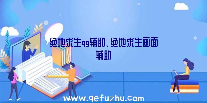 绝地求生qg辅助、绝地求生画面辅助