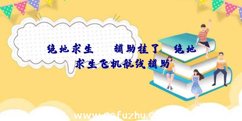 绝地求生sng辅助挂了？、绝地求生飞机航线辅助