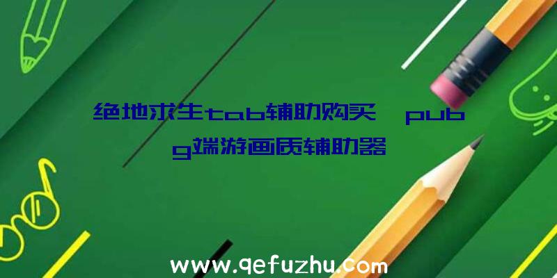 绝地求生tab辅助购买、pubg端游画质辅助器