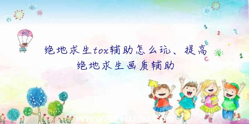 绝地求生tox辅助怎么玩、提高绝地求生画质辅助