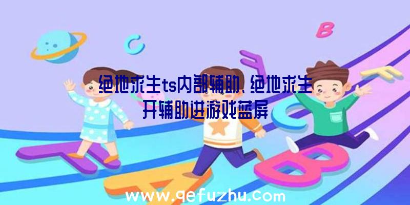 绝地求生ts内部辅助、绝地求生开辅助进游戏蓝屏