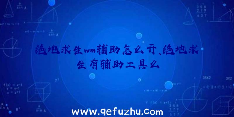 绝地求生wm辅助怎么开、绝地求生有辅助工具么