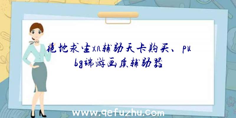 绝地求生xn辅助天卡购买、pubg端游画质辅助器