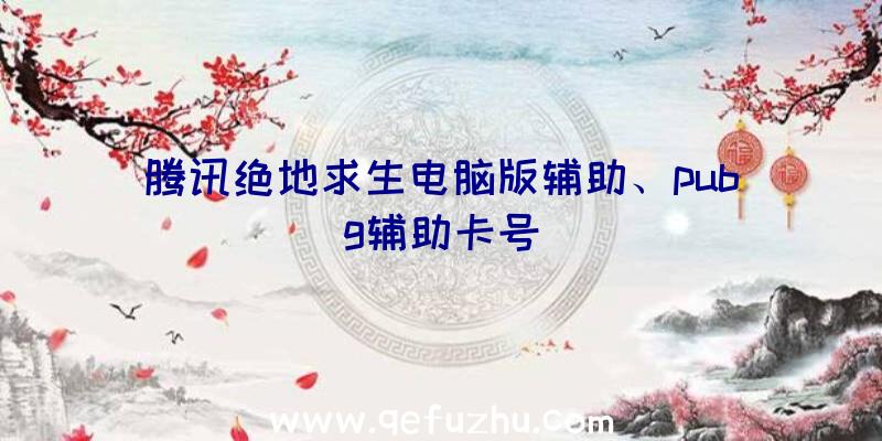 腾讯绝地求生电脑版辅助、pubg辅助卡号