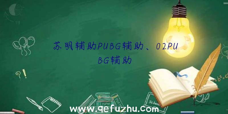 苏明辅助PUBG辅助、02PUBG辅助