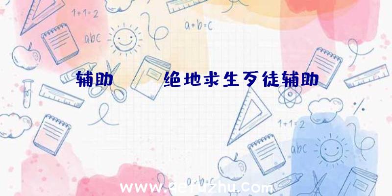 辅助pubg、绝地求生歹徒辅助