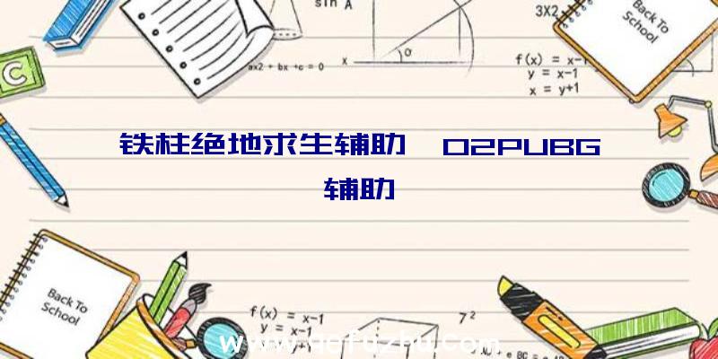 铁柱绝地求生辅助、02PUBG辅助