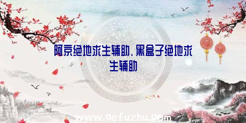 阿京绝地求生辅助、黑盒子绝地求生辅助