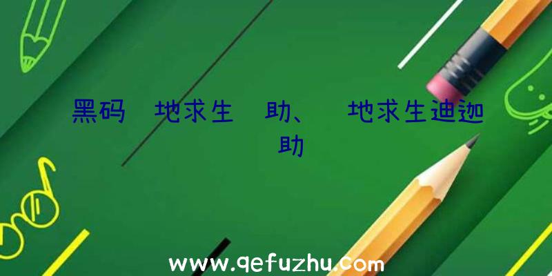 黑码绝地求生辅助、绝地求生迪迦辅助