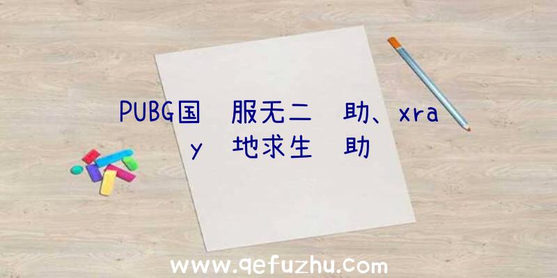 PUBG国际服无二辅助、xray绝地求生辅助