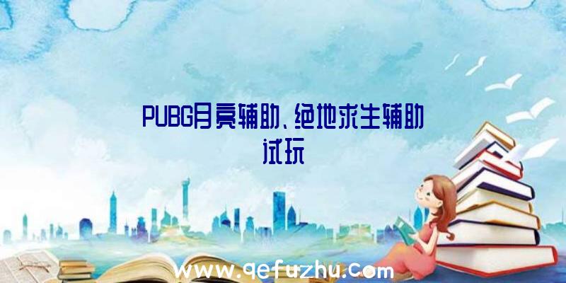 PUBG月亮辅助、绝地求生辅助试玩