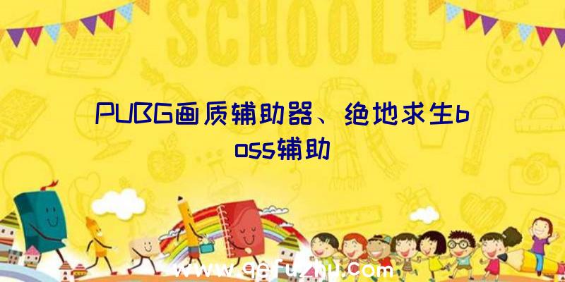 PUBG画质辅助器、绝地求生boss辅助