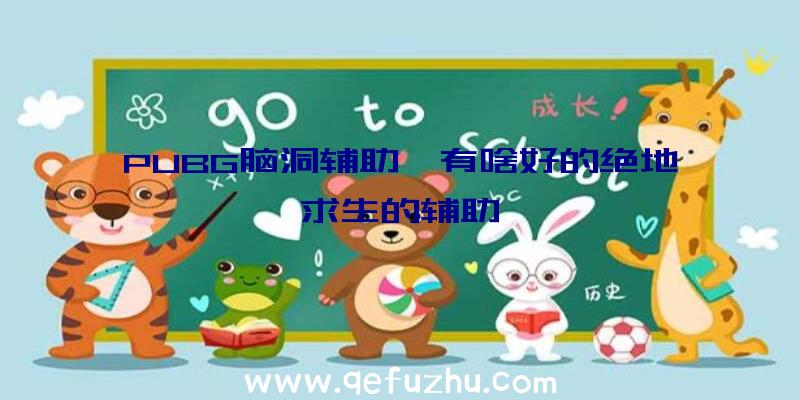 PUBG脑洞辅助、有啥好的绝地求生的辅助