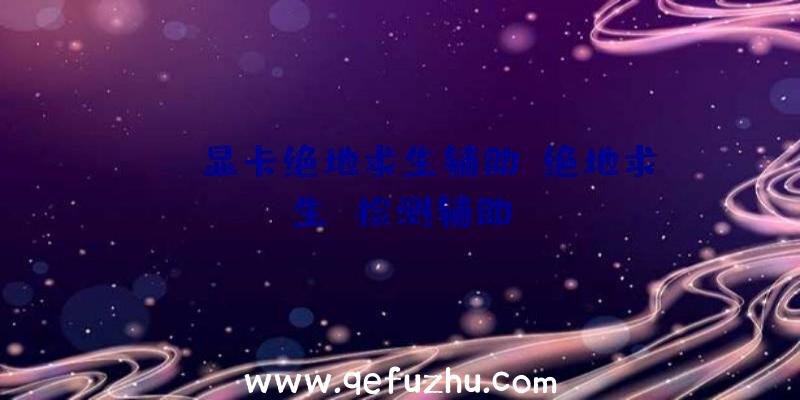 amd显卡绝地求生辅助、绝地求生