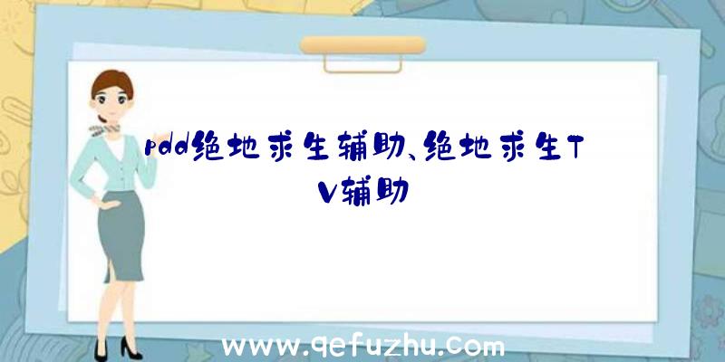 pdd绝地求生辅助、绝地求生TV辅助