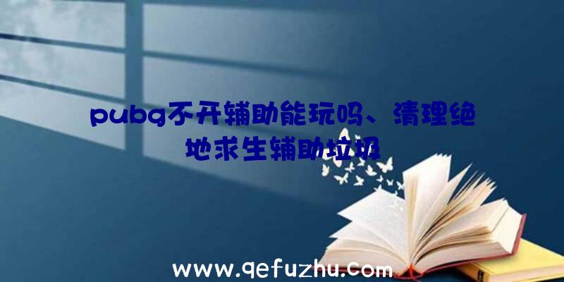 pubg不开辅助能玩吗、清理绝地求生辅助垃圾