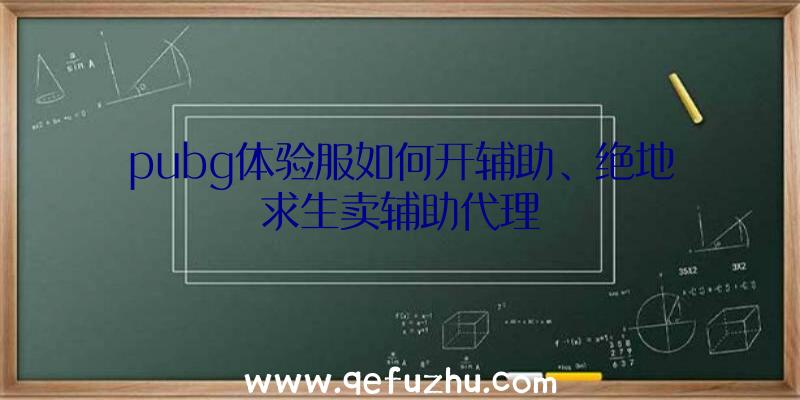 pubg体验服如何开辅助、绝地求生卖辅助代理