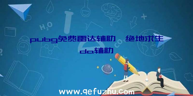 pubg免费雷达辅助、绝地求生da辅助